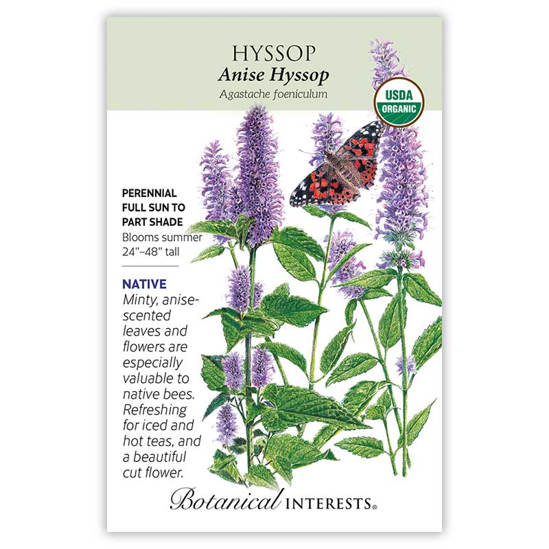 anise hyssop seeds planting Anise Hyssop Seeds