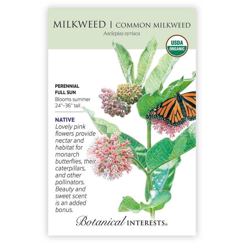 butterfly flower seed packets Common Milkweed Seeds
