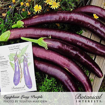 Long Purple Eggplant Seeds