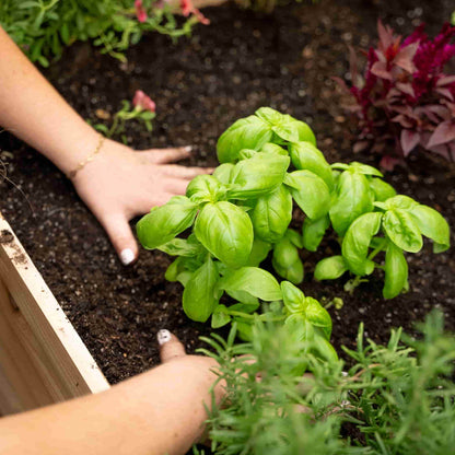 3-Minute Raised Bed and Extension Kit