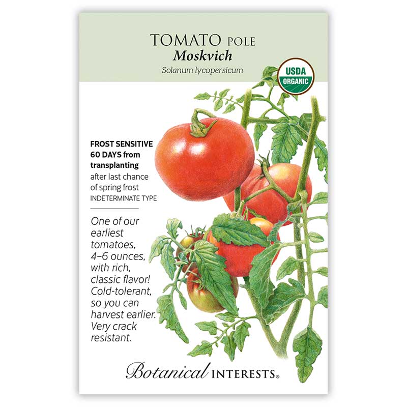 Moskvich Pole Tomato Seeds