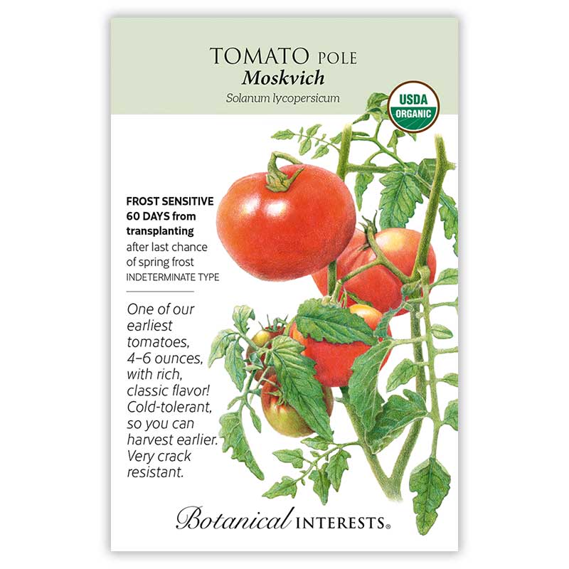 Moskvich Pole Tomato Seeds – Epic Gardening