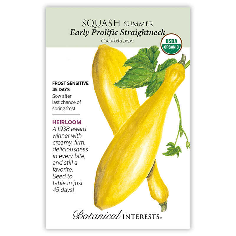 Early Prolific Straightneck Summer Squash Seeds