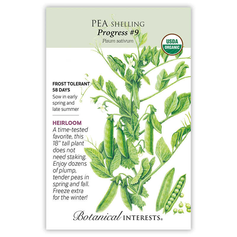 plant pea seeds Progress #9 Shelling Pea Seeds