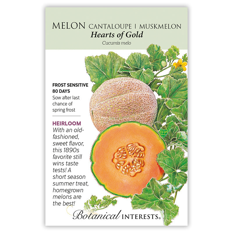 Hearts of Gold Cantaloupe/Muskmelon Melon Seeds