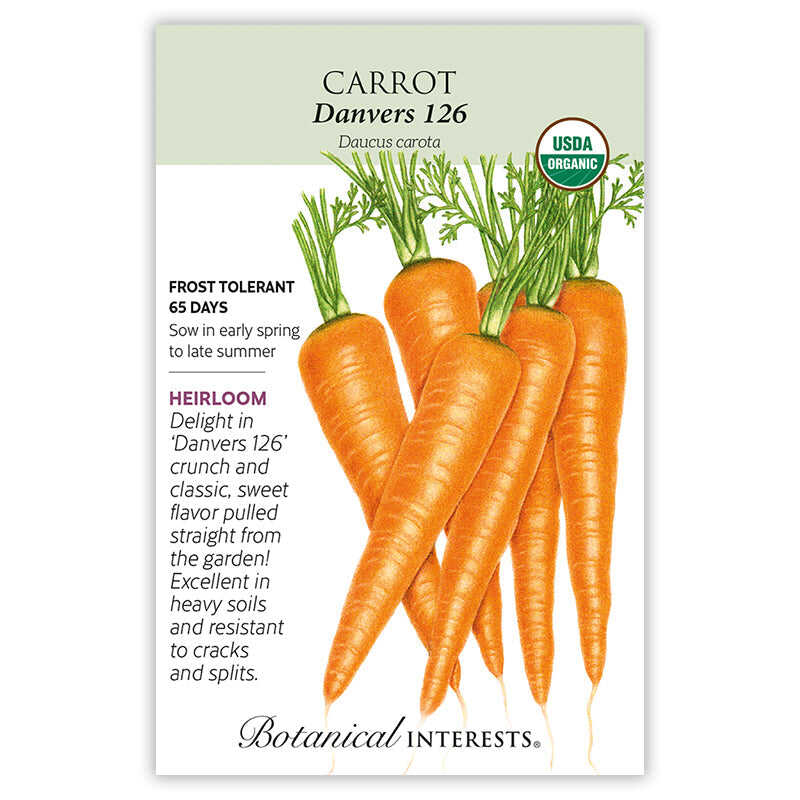 Danvers 126 Carrot Seeds