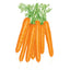 Scarlet Nantes Carrot Seeds