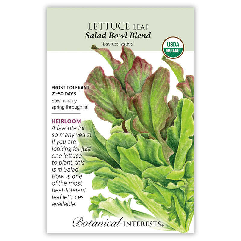 Salad Bowl Blend Leaf Lettuce Seeds