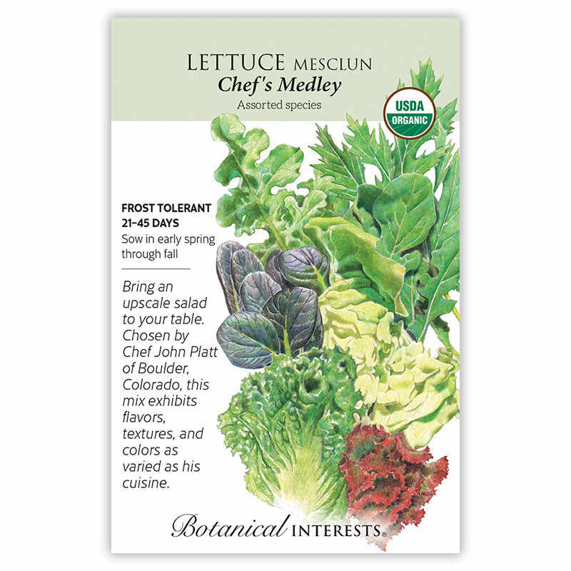 planting mesclun lettuce seeds Chef's Medley Mesclun Lettuce Seeds