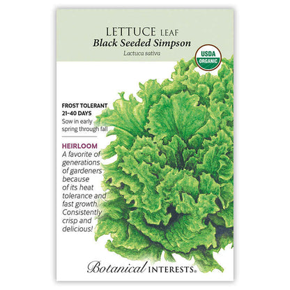 Black Seeded Simpson Leaf Lettuce Seeds