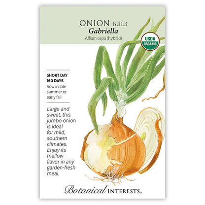 Gabriella Bulb Onion Seeds