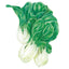Baby Choi Bok Choy Seeds