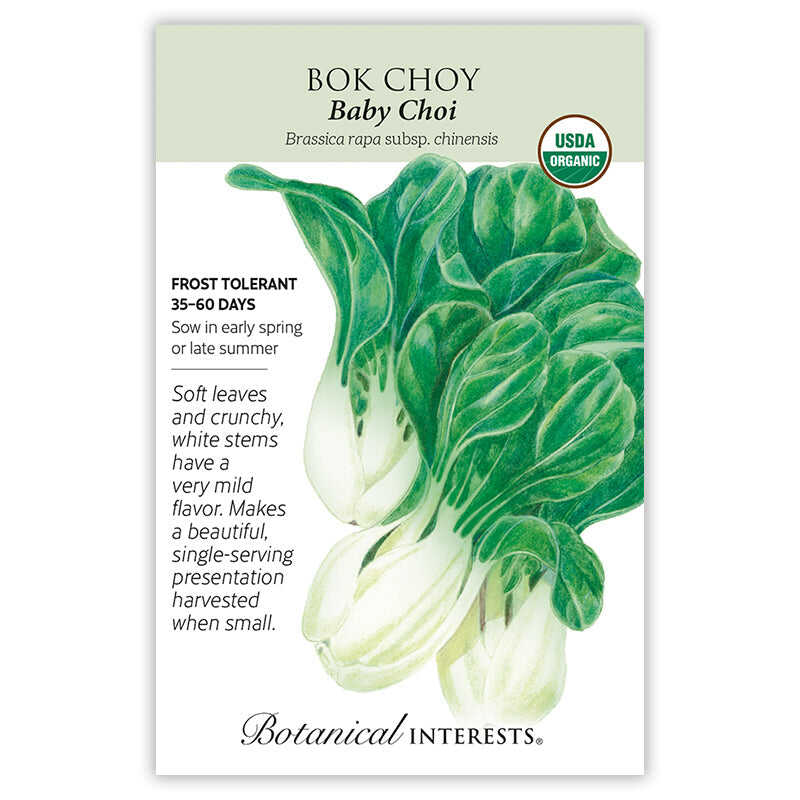bok choy seeds from plant Baby Choi Bok Choy Seeds