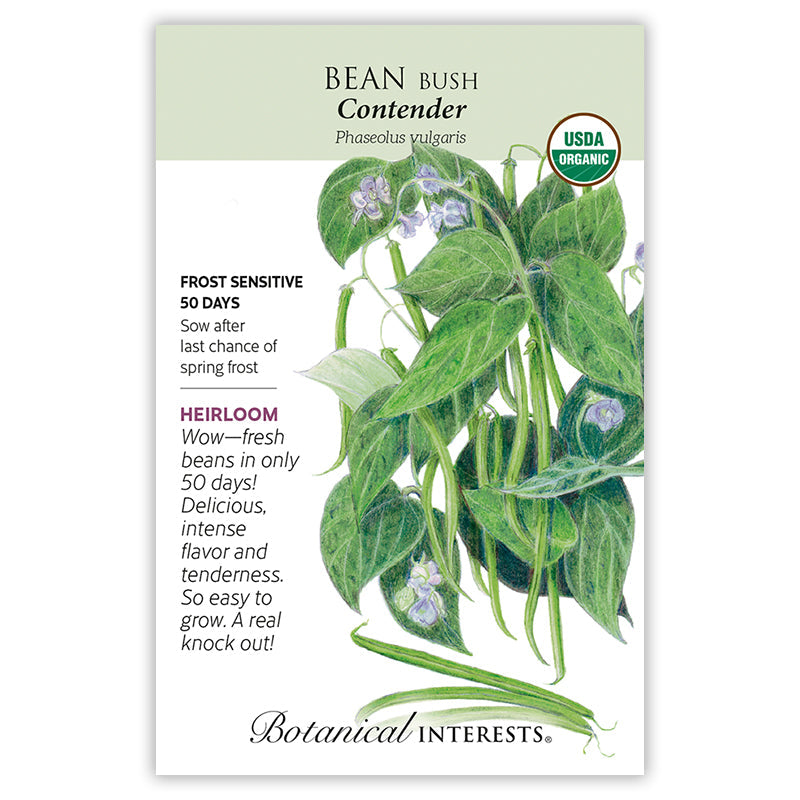 Contender Bush Bean Seeds Product Image