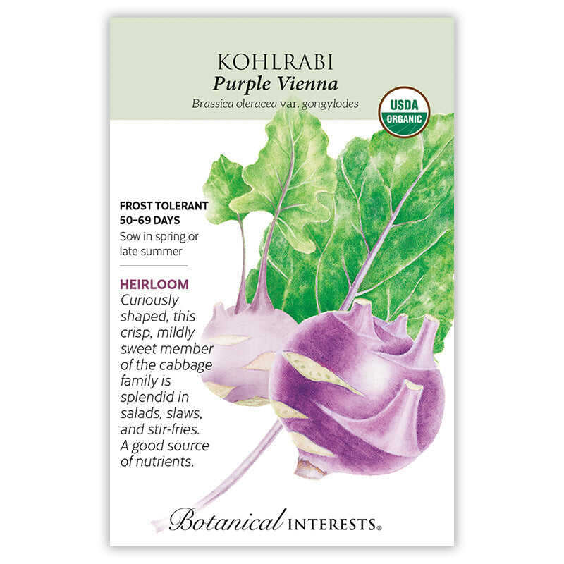 Purple Vienna Kohlrabi Seeds