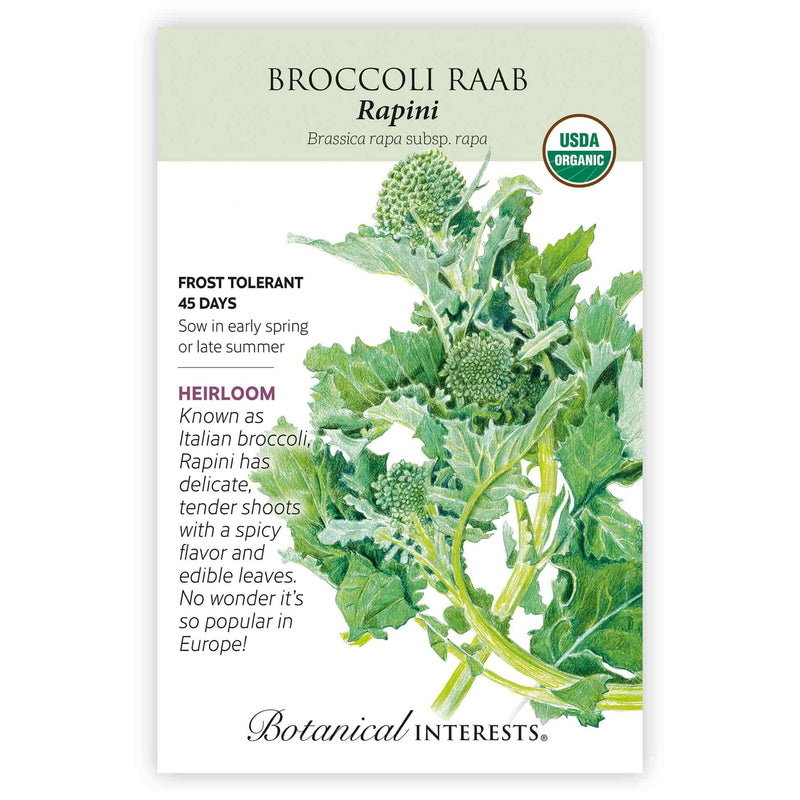 planting rapini seeds Botanical Interests Broccoli Raab Rapini Organic Seeds