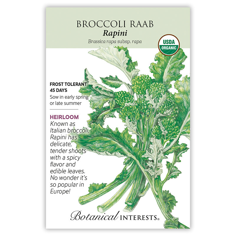 Rapini Broccoli Raab Seeds Product Image