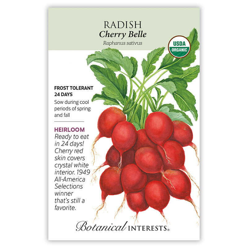 radish plant seeds Cherry Belle Radish Seeds Organic Heirloom