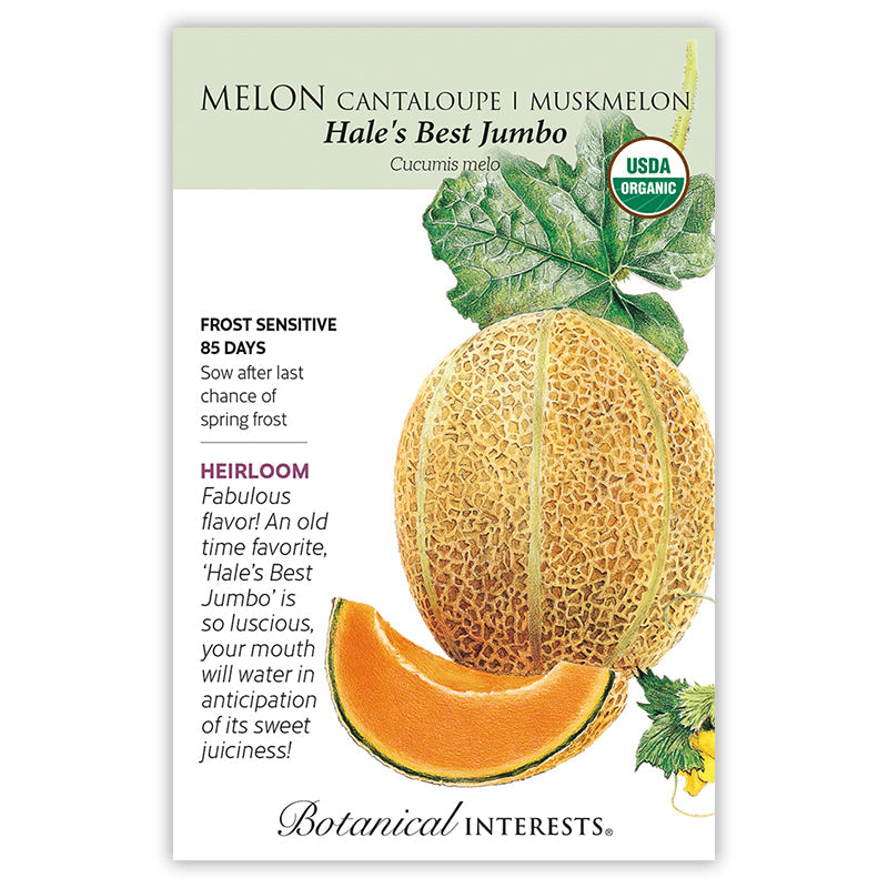 Hale's Best Jumbo Cantaloupe/Muskmelon Melon Seeds Product Image