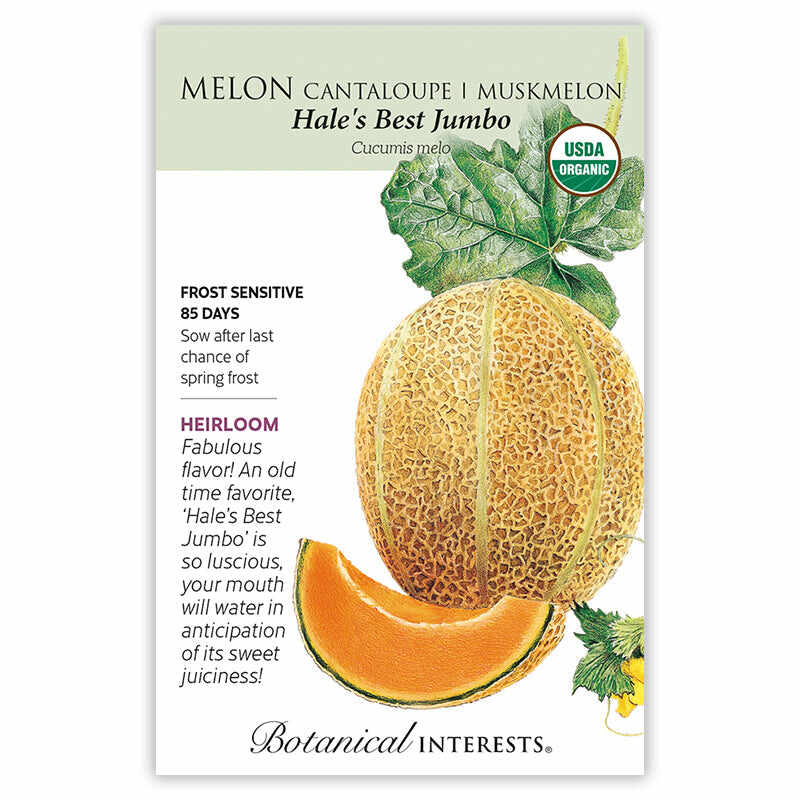 Hale's Best Jumbo Cantaloupe/Muskmelon Melon Seeds