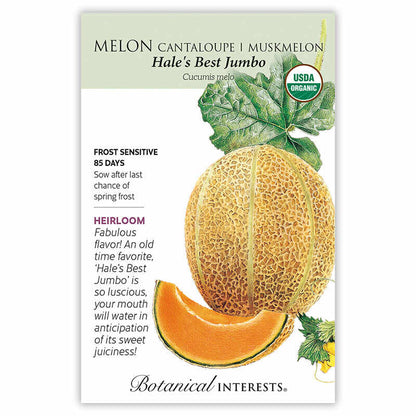 Hale's Best Jumbo Cantaloupe/Muskmelon Melon Seeds