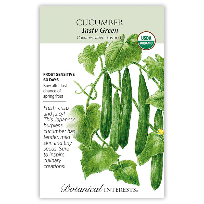 Tasty Green Cucumber Seeds Product Image