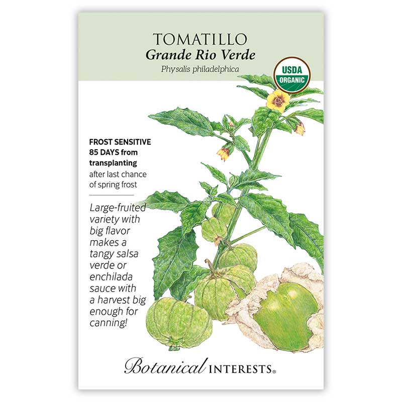 tomatillo plant seeds Grande Rio Verde Tomatillo Seeds