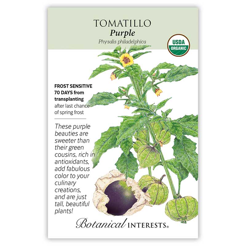 plant tomatillo seeds Botanical Interests Tomatillo Purple Organic