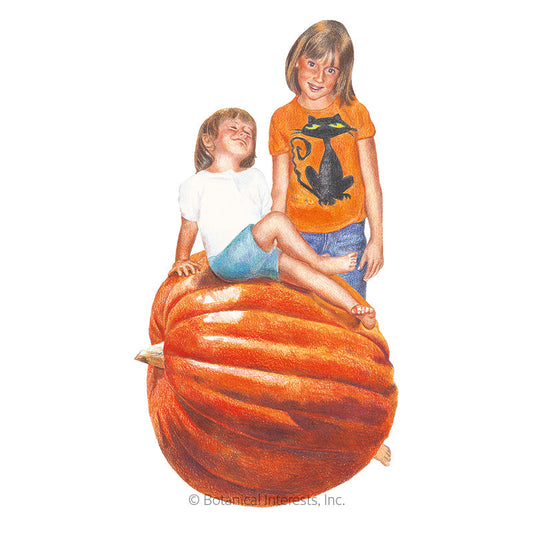 Big Max Pumpkin Seeds Product Image