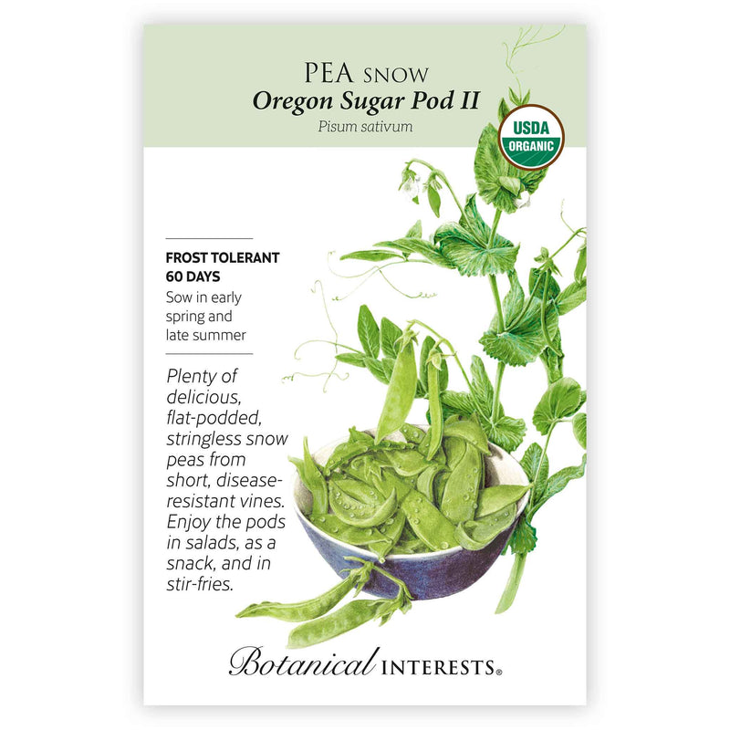 potted snow pea plant Oregon Sugar Pod II Snow Pea Seeds