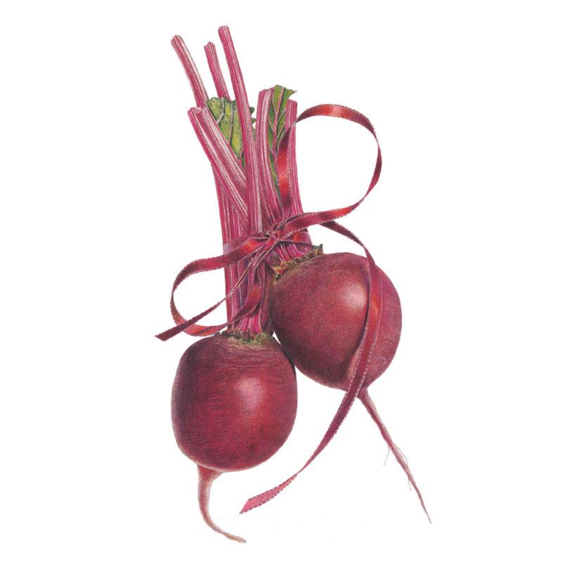 Botanical Interests Beet Seeds - Thumbnail 3