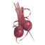 Detroit Dark Red Beet Seeds