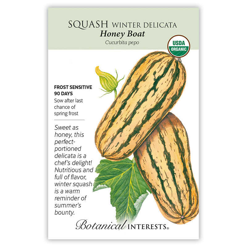 Honey Boat Winter Delicata Squash Seeds