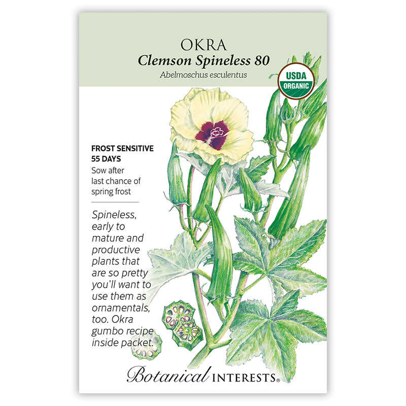 plant okra from seed Clemson Spineless 80 Okra Seeds