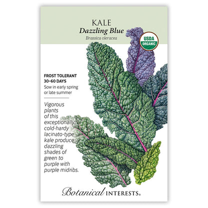 Dazzling Blue Kale Seeds Product Image