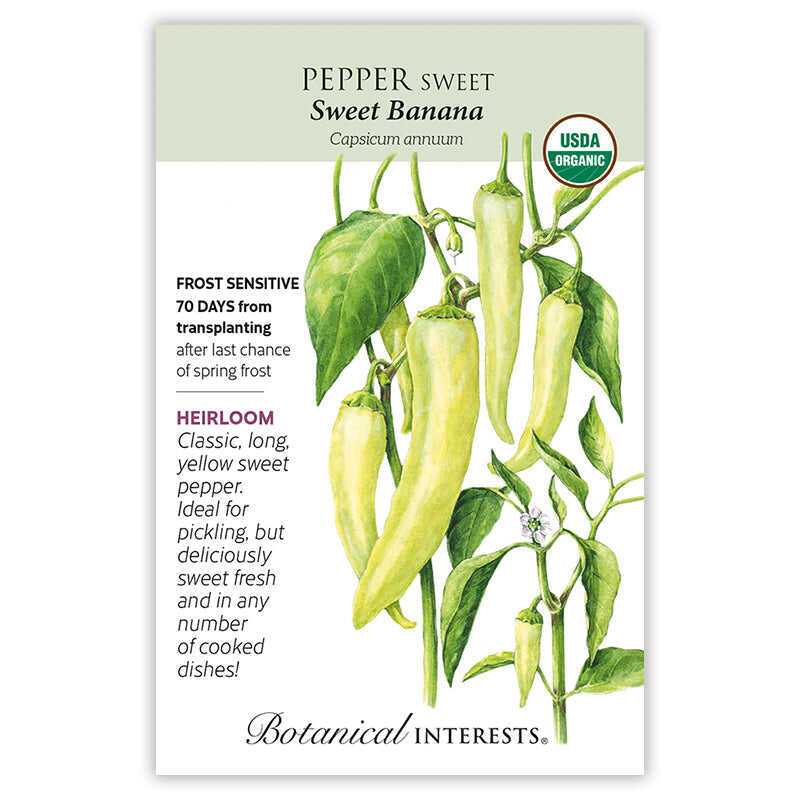 sweet pepper seeds planting Sweet Banana Sweet Pepper Seeds