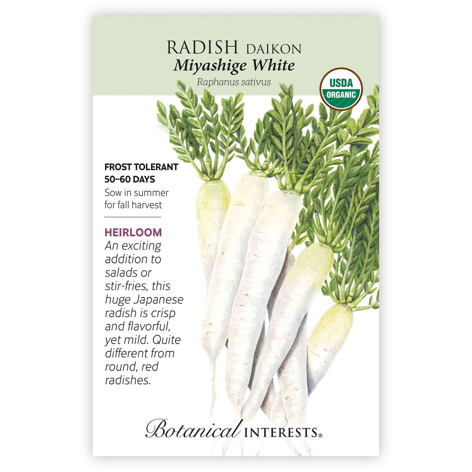 Miyashige White Daikon Radish Seeds – Epic Gardening