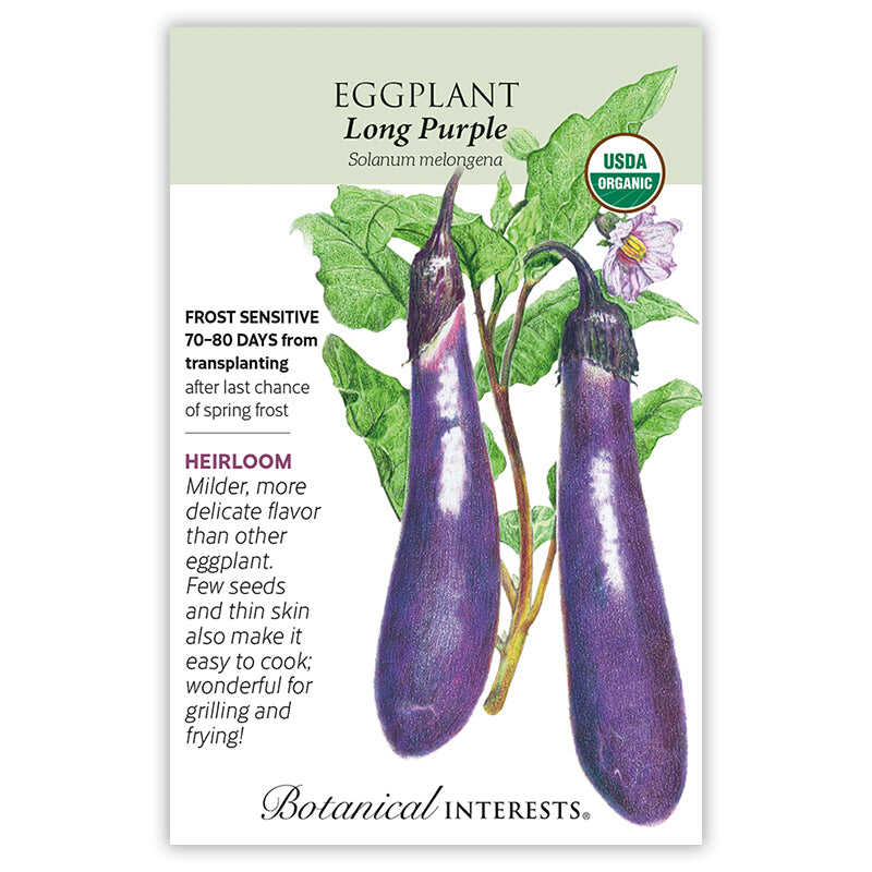 Long Purple Eggplant Seeds