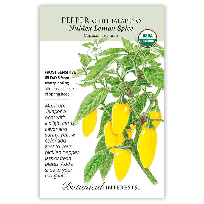 plant jalapeno pepper seeds NuMex Lemon Spice Jalapeño Chile Pepper Seeds