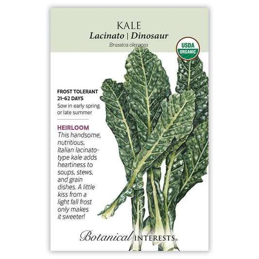 Lacinato Dinosaur Kale Seeds
