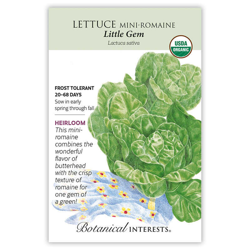 planting little gem lettuce seeds Little Gem Mini-Romaine Lettuce Seeds