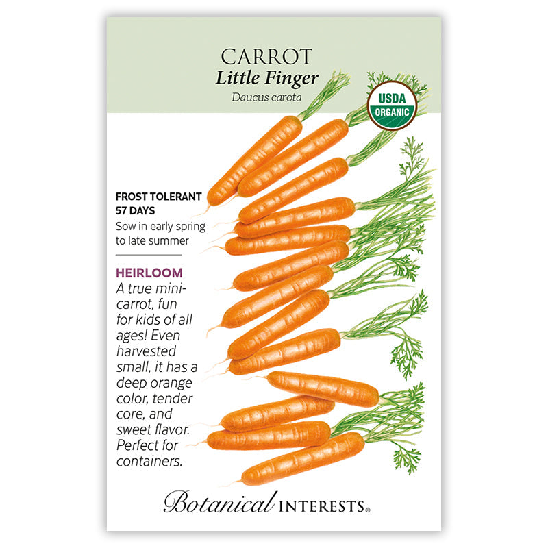 Little Finger Carrot Seeds Product Image