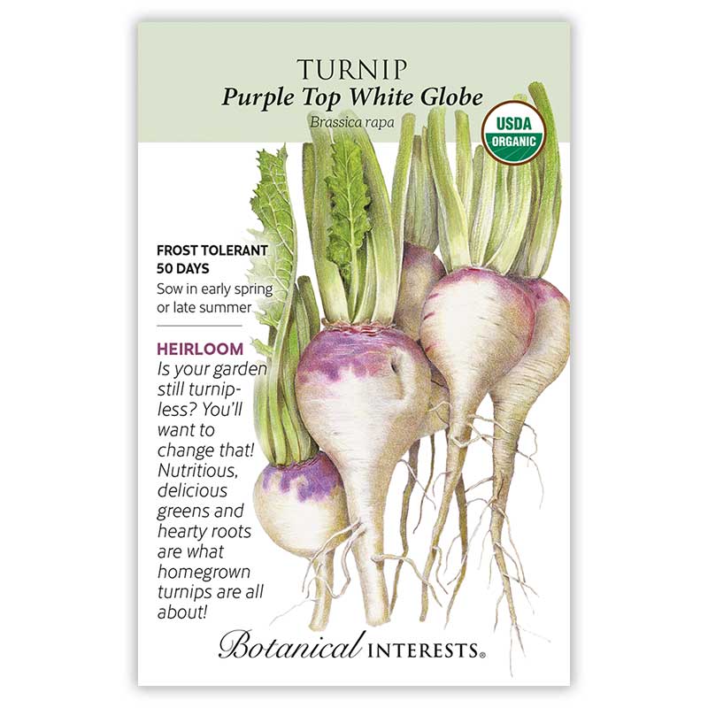 Purple Top White Globe Turnip Seeds
