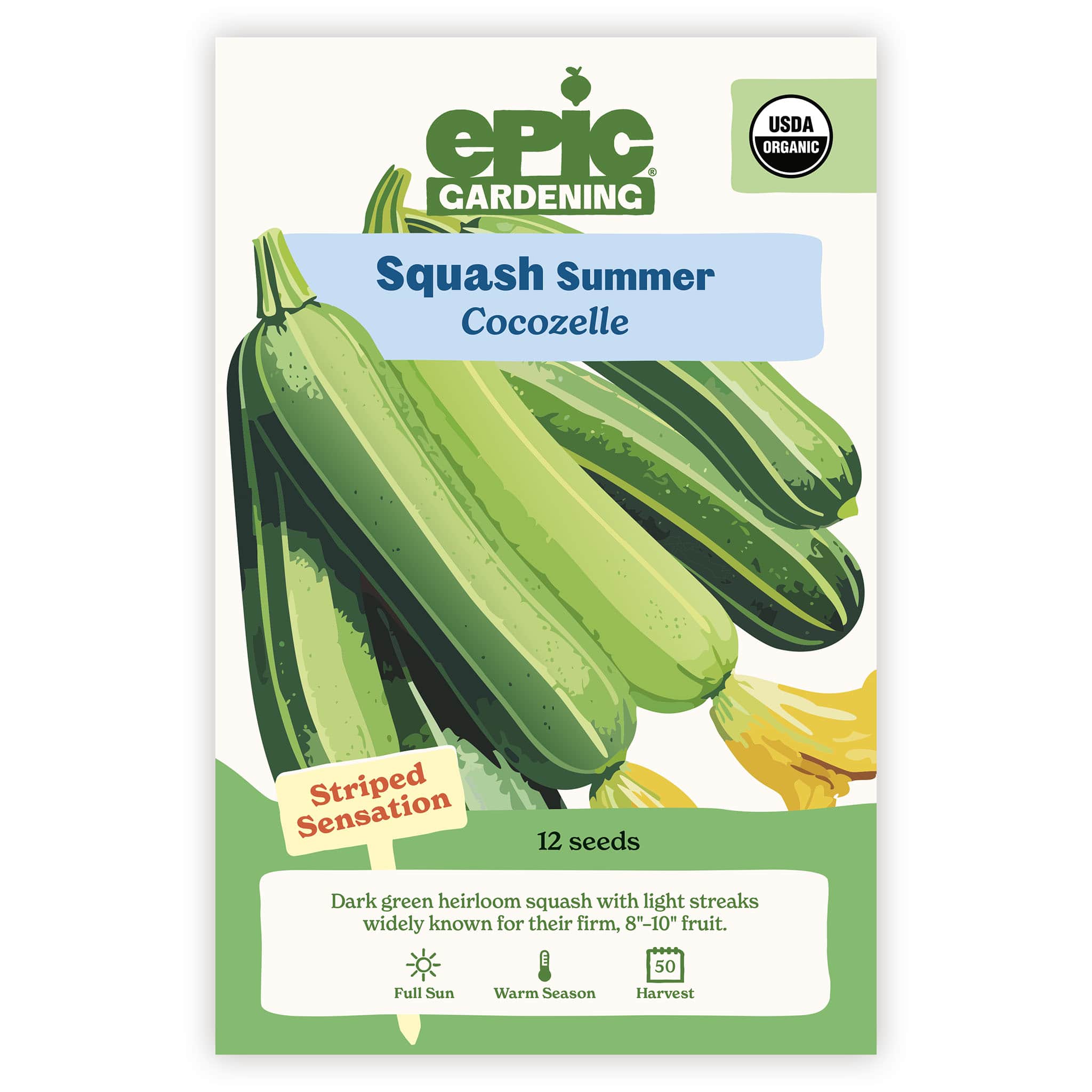 Cocozelle Summer Squash – Epic Gardening