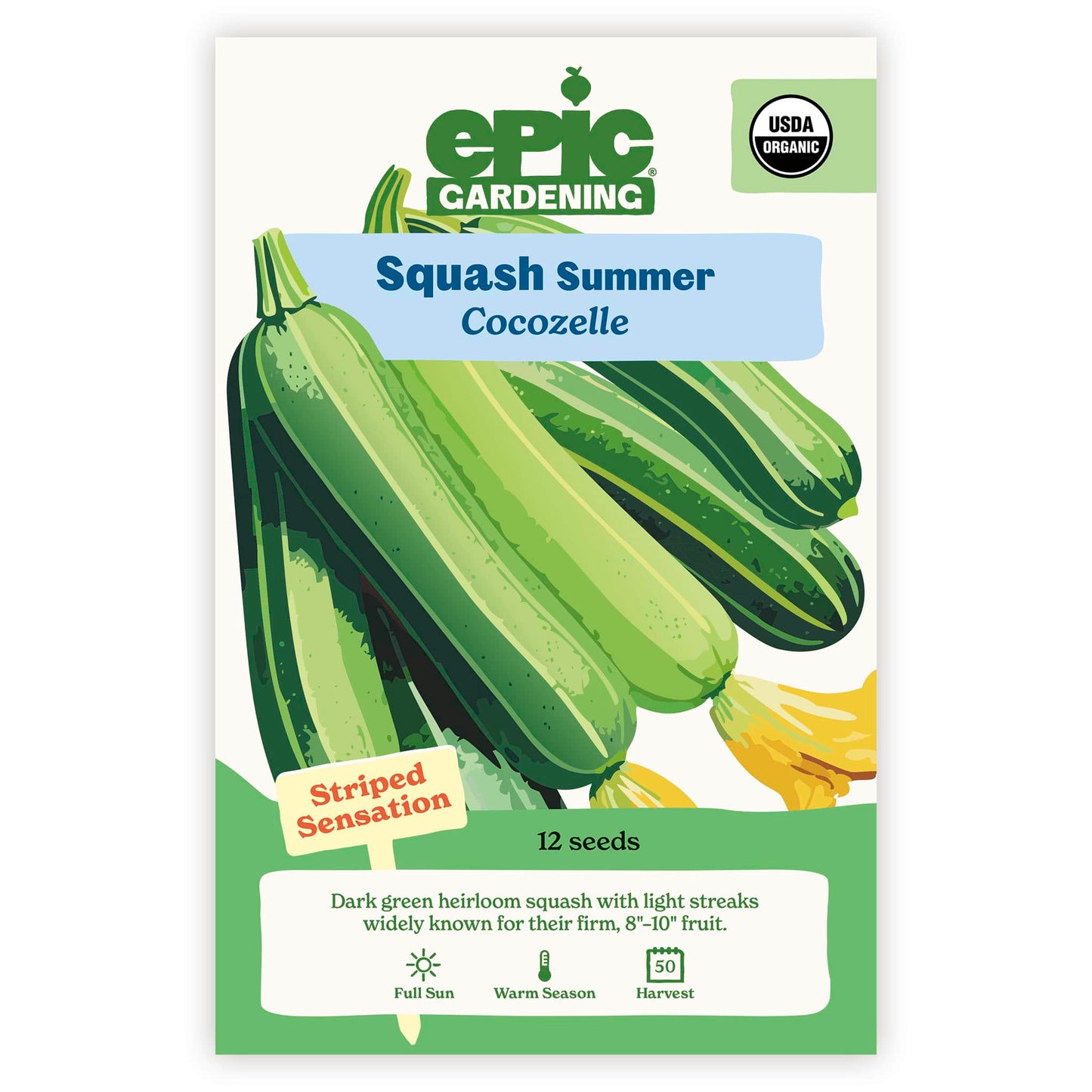 Cocozelle Summer Squash