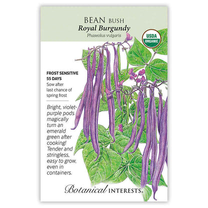 Royal Burgundy Bush Bean Seeds