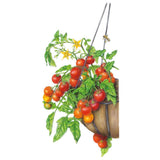 Cherry Falls Bush Cherry Tomato Seeds