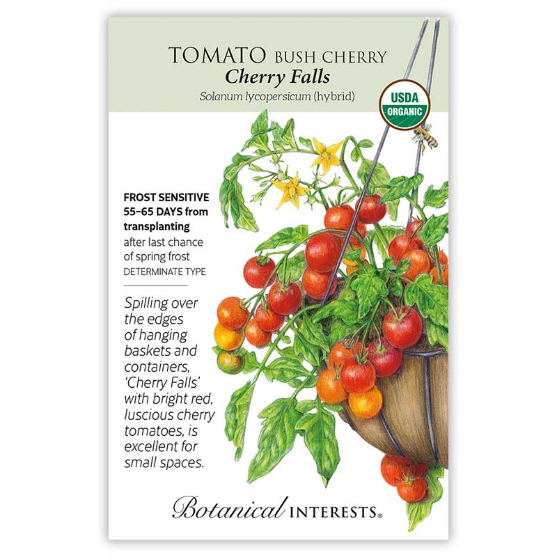 mini tomato plant seeds Cherry Falls Bush Cherry Tomato Organic Seeds