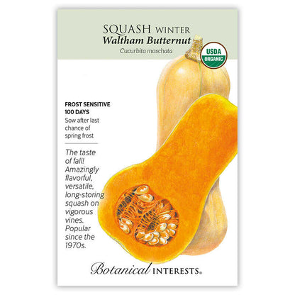 Waltham Butternut Winter Squash Seeds