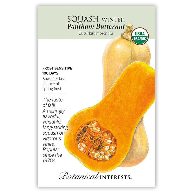 Botanical Interests Waltham Butternut Winter Squash Seeds